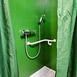 Les Hortensias La Souris Des Champs Daire Étival-Clairefontaine