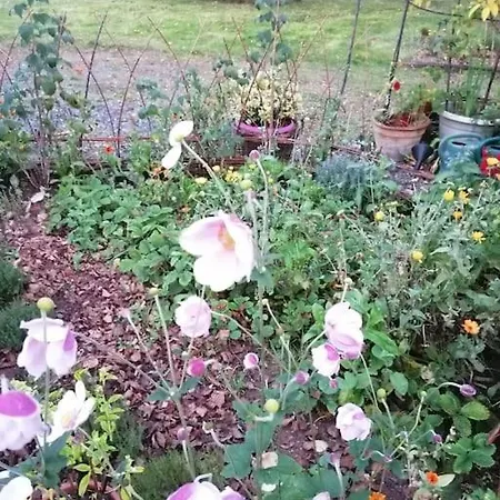 דירה Les Hortensias La Souris Des Champs