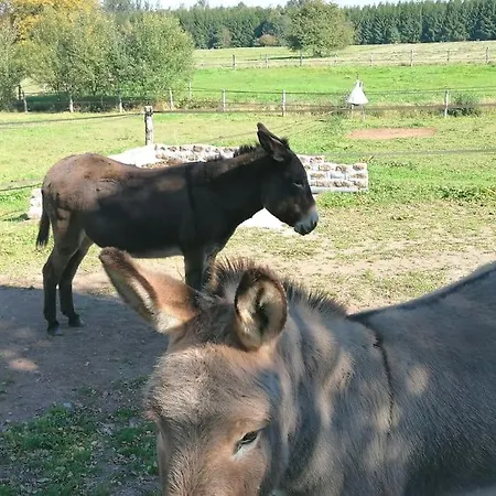 דירה Les Hortensias La Souris Des Champs *