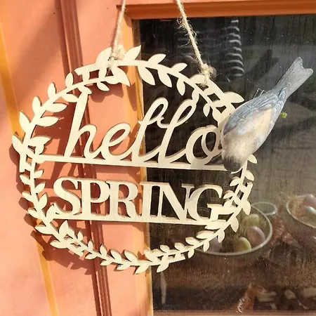 Les Hortensias La Souris Des Champs *