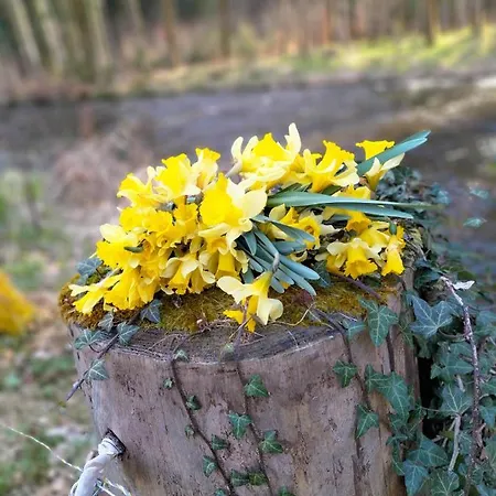 דירה Les Hortensias La Souris Des Champs