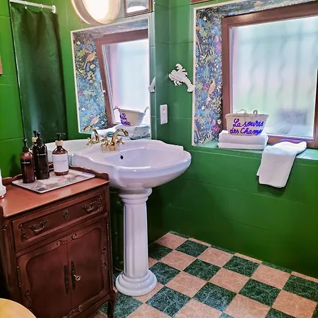 Les Hortensias La Souris Des Champs