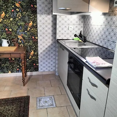 Les Hortensias La Souris Des Champs *